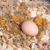 Pampered Chicken Mama Best Eggs Ever! All Natural Nesting Herbs