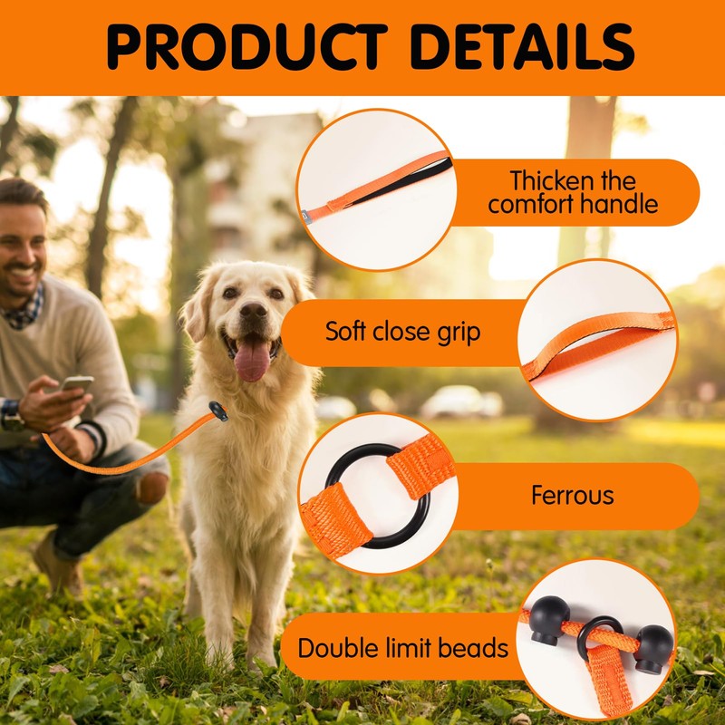 Slip Lead for Dogs Leash Explosion-Proof Strong Adjustable Collar Thin