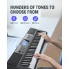 Donner Keyboard Piano, 61 Key Piano Keyboard for Beginner/Professional, Electric