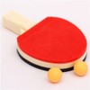 red-black table tennis racket eraser by Iwako from Japan by Iwako