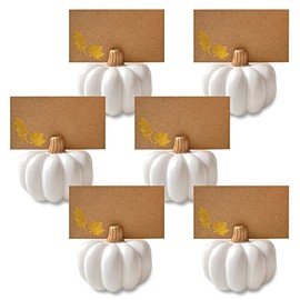 Kate Aspen Rustic Pumpkin Table Décor, Thanksgiving, Fall Themed Weddings, White