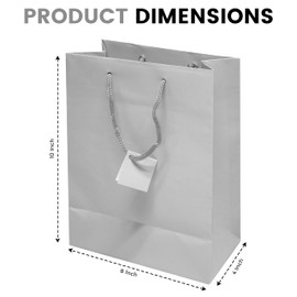 Novel Box Silver Gift Bags with Handles 10 Pack 8x4x10 Inches Large Paper Bulk Gift Bags for Business, Shopping, Birthday, Party Favor - Euro Tote Paper Bag for Groceries & Personal Use