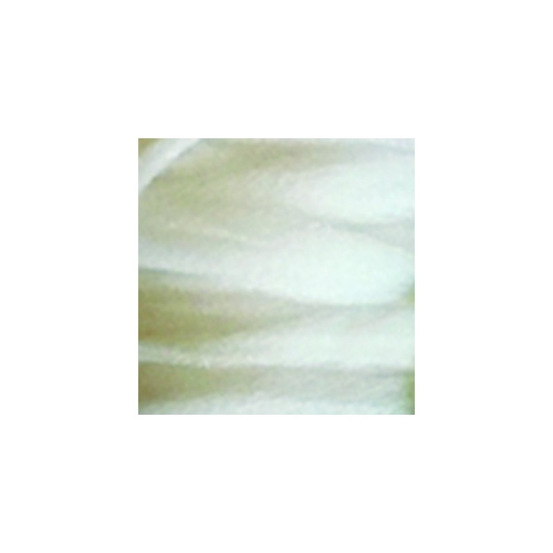 Poly Yarn for Fly Tying or Tying Flies (White)