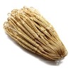 Rayon Double Base Rope, Set of 50, Lanyard Netting Cord,