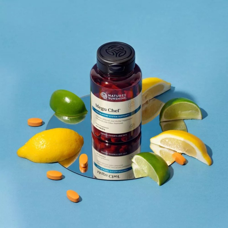 Nature’s Sunshine Mega-Chel, 120 Tablets, Complete Vitamin with Powerful Antioxidants,