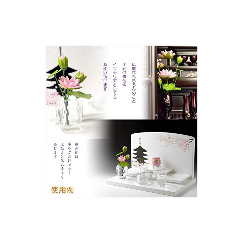 Buddhen Endo Brand: Buddha Equipment, Buddha Flowers, Silk Flower (Real