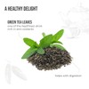 KILIMANJARO INFUSIONS - Green Tea - Tanzania - Specialty Tea