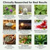 Cloud9 Daily Restore – Liver Detox & Recovery Supplement with