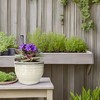 Dphagesy African Violet Pots Self Watering Round Ceramic Violet Pot