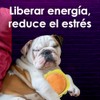 Fancy Pets Juguete para Perro en Forma de Pizza con
