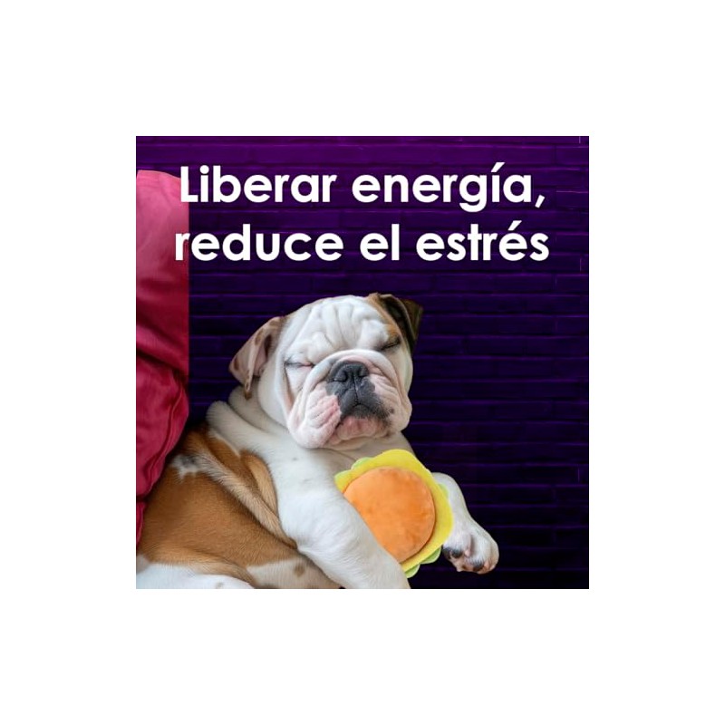 Fancy Pets Juguete para Perro en Forma de Pizza con