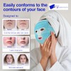 Paquete de hielo facial de Accurate Manufacturing, Paquete de 1,