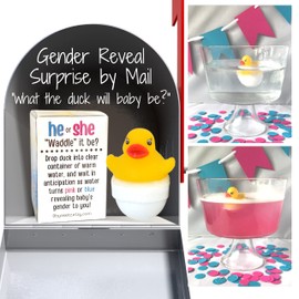 Rubber Duck Gender Reveal Fizzes by mail | Pregnancy Announcement | Gift Box includes Customized Message | for Out Of Town Family and Friends (What the Duck?)