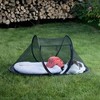Cat Tent Outdoor, Pet Enclosure Tent Suitable for Cats and
