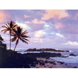 IPISSOI Diamond Painting Ocean Tropical Palm Tree Coastal Beach Sunset Kit for Adults Full Round Drill Diamond Art Painting by Number Kits Gem Art Wall Home Decor 12 x16 Inch