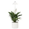 Venso E504 110 SUNLiTE LED-Pflanzenlampe 24V LED fest eingebaut 7W