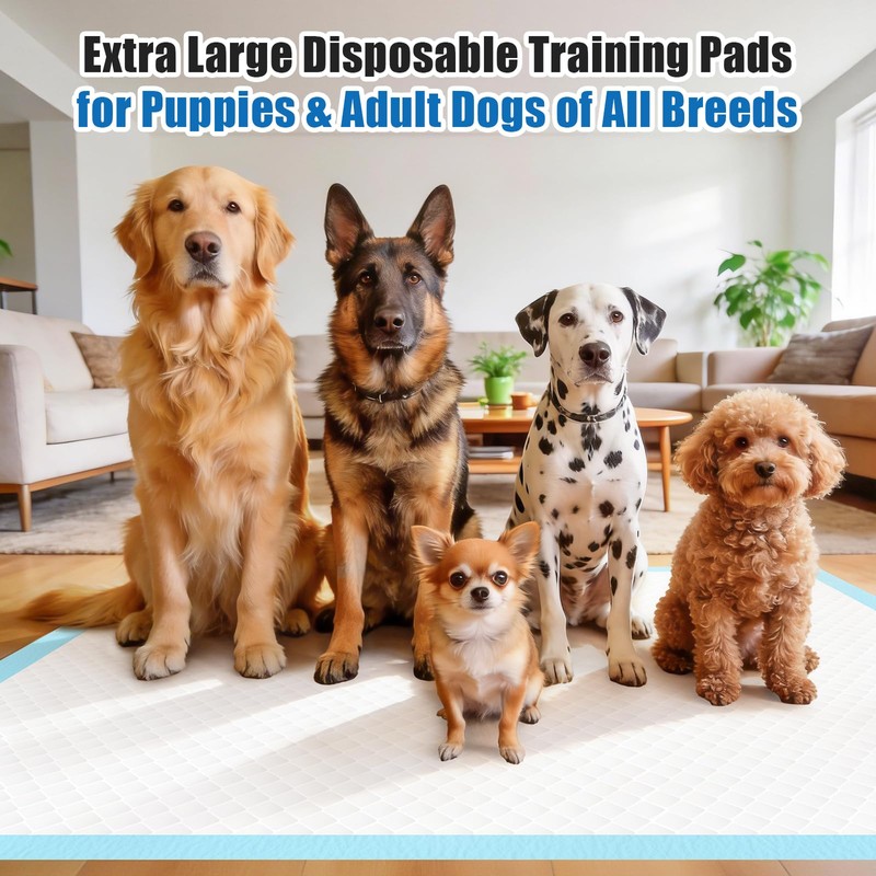 100 Count Puppy Pads- 30"x36", Extra Large Pee Pads for