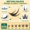 KEYYOU Manga Lash Clusters 8-18mm Fairy Eyelash Clusters Natural DIY