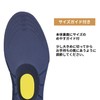 足裏健康インソール 1組入 アーチサポート 3D 土踏まず サポート インソール 中敷き 歩いて健康 散歩