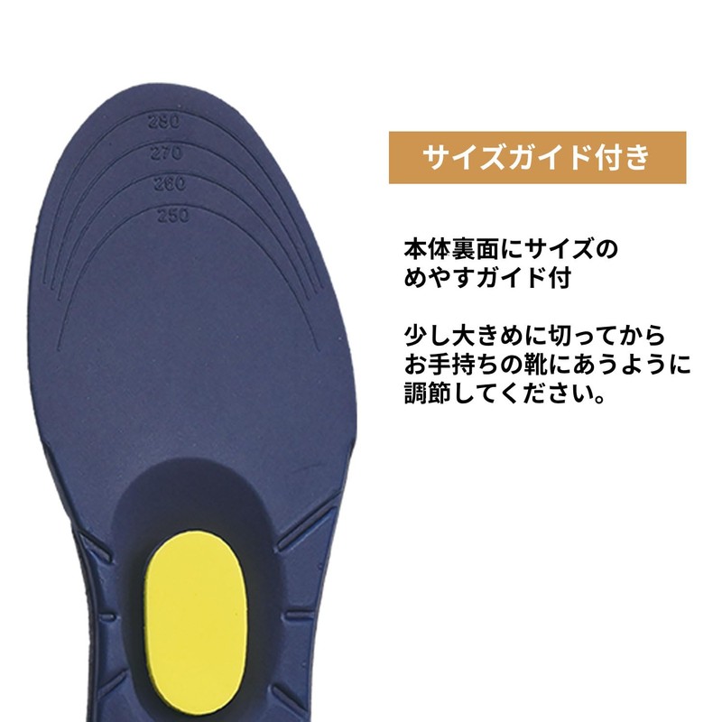 足裏健康インソール 1組入 アーチサポート 3D 土踏まず サポート インソール 中敷き 歩いて健康 散歩