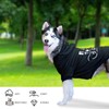 BINGPET Dog Hoodies,Bad to The Bone Printed Soft & Warm