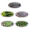 Coreman CA-02 Alkaline Shad #062 White Fish