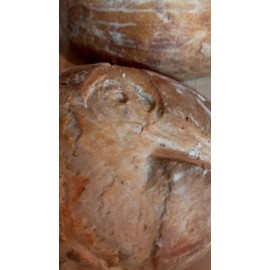 Little Tree Food Forest European Sourdough Traditions Pack | 4 Starters | French, German, Dutch, French