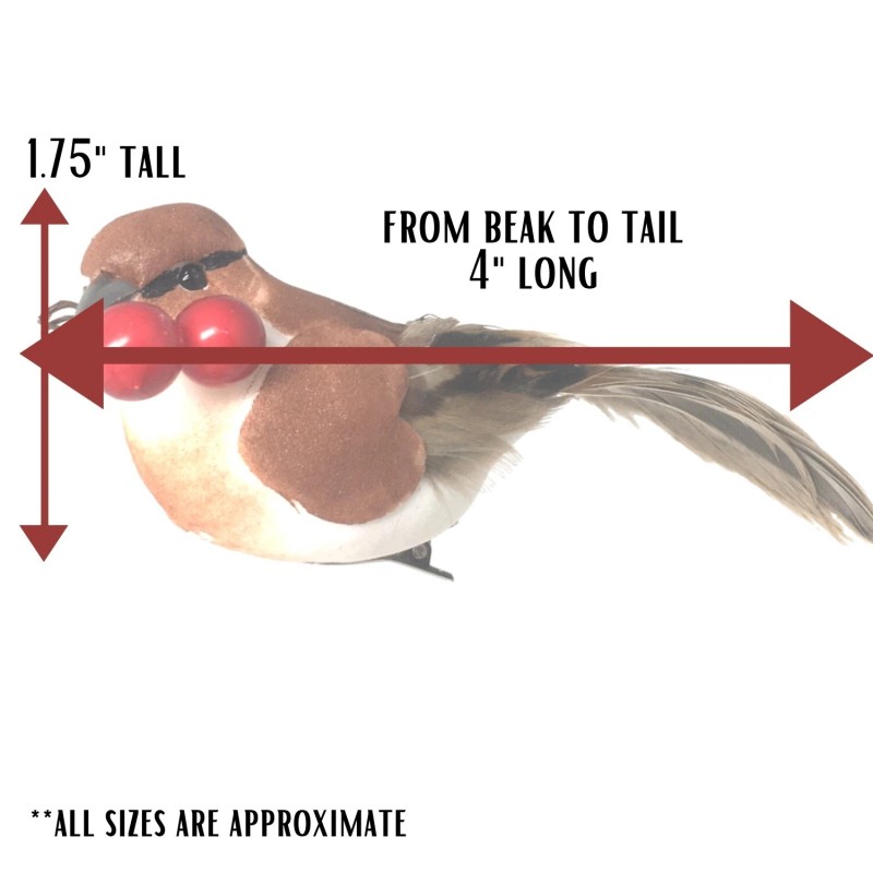 Banberry Designs Feathered Song Bird Clip-On Ornaments - Assorted Styles
