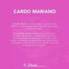 Pack 2pz Extracto Cardo Mariano Sheló Nabel S603-2