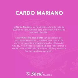 Pack 2pz Extracto Cardo Mariano Sheló Nabel S603-2