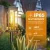 TEZKOLES 8 Pack Solar Pathway Lights Outdoor, IP65 Waterproof Solar