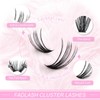 Eyelashes, Individual, Cluster for Eyelash Extension, 40P, 0.07, D-curl, Mixed,