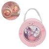 Flamingo Lamp Wall Mountable Double Sided Transparent Romantic Battery Powered