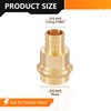 HeSun 40-Pack Brass Press Fitting Adapter,3/4" PRESS X 3/4" PEX