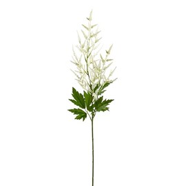 SilksAreForever 36" Artificial Astilbe Flower Stem -Cream (Pack of 12)