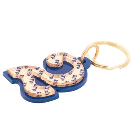 Desert Cactus Sigma Gamma Rho Keychain Line Number # Cross Over Initiation Acrylic Mirrored Decorative SGR Divine 9 (#2 Line Number Keychain)