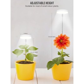 Grow Lights for Indoor Plants, New 2-in-1 design Full Spectrum Desk Growth Lamp with Automatic Timer, Height Adjustable, 3 Optional Spectrums, 10 Dimming Levels, Plant Light for Succulents Small Plant