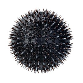 Lyapko Acupuncture Hand Foot Massage Black Needle Ball 4.0 Ag Premium Active Massager Unisex Spiked Ball Unique Therapy Device Massage Ball Hedgehog Ball Acupressure Balls for Stress Relief Relaxation