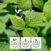 Organic Way LLC Raspberry Leaf Powder - 1 LBS