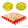 10-Pack Reusable Plastic Egg Tray Egg Crates 30-Egg Flats for