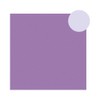 Toray Toray Reversible Cloth PM59 M/L (Mauve x Lavender) 9.4