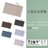 Raymei Fujii Card Case Tinist Fragment Card Case Gray Red