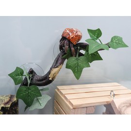 Hermit Crab Climbing Toys, Bendable Hermit Crab Supplies, Reptile Vines Toys, Reptile Tank Terrarium Accessories, Jungle Climber Long Vines Habitat Decor for Lizards Geckos Snakes