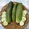 Ashley Cucumber Garden Seeds - 3 g Packet ~100 Seeds