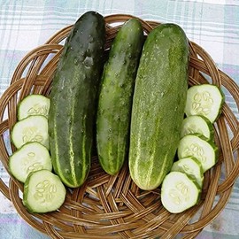 Ashley Cucumber Garden Seeds - 3 g Packet ~100 Seeds - Non-GMO, Heirloom Vegetable Gardening Seed - Cucumis sativas