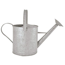 Esschert Design OZ45 Zinc Watering Can, Large