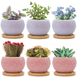 Thriving Thicket 3 inch Pink and Purple Ceramic pots for Plants, Small Succulent Pots Set with Drainage, 6 Pack Flower Pot for Indoor Plant, Planters for Little or Mini Cactus (3 Pink & 3 Purple)