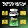 Moringa Capsules 7000mg Complex, High Strength Complete Green Superfood with