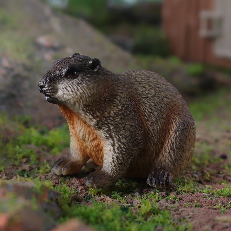 titihuirie 3PCS Groundhog Figurine Groundhog Sculpture Groundhog Model Animal Model