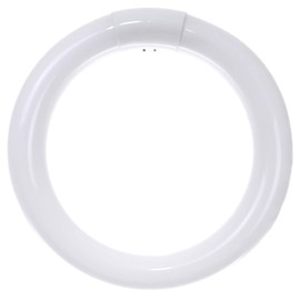 Sunlite 41314-SU FC8T9/DL - Lámparas fluorescentes circulares, tamaño de 8 pulgadas, 22 vatios, 1050 lúmenes, base de 4 pines (G10q), 10.000 horas de vida, luz de día 65K